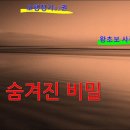 783 巳의 새로운 비밀 이미지
