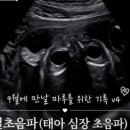 마리본문화원