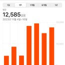 취중천국 | [수사 기록] 장가계 4박 5일: 효도 관광인가 자식 고문인가? (유리 잔도 기어간 후기)