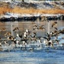 증평슈퍼 이미지