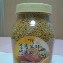 공주양봉원