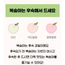 말랑단단 이미지