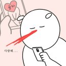 골드니스 이미지