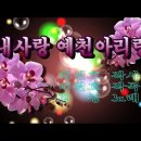 가수 황성 노래 특별무대,,,,, 내사랑 예천아리랑.....삼강주막 원샷페스티벌 [유튜브버전] 이미지