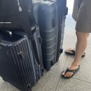 영진항공여행사 | [하와이 6박 8일] DAY1:인천공항 마티니라운지/쉐라톤 프린세스 카이울라니/크래킹