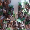 무주 해바라기 펜션 호스텔 이미지