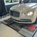 엠에스 모터스 이미지