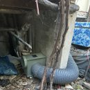 황금김밥 이미지