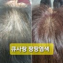 염색팡팡 이미지