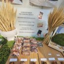 강릉오죽한옥마을 입구 이미지