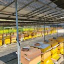 숙이네농장 이미지