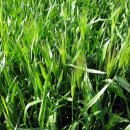 동호농장 이미지