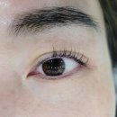 에머랄드빌딩 이미지