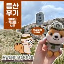 수봉식품 | 경남 합천 황매산 억새 시즌, 꼭 가봐야 할 가을 등산 명소🌾⛰