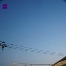 대림축산물