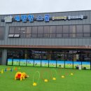 개편한 스쿨 | 개편한 스쿨 가봤더니 반려동물 천국이네