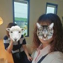 너랑 도동길32-2 이미지