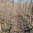 수양1 농장 이미지