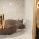 도그마루 노원점 이미지