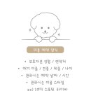 댕이브 이미지