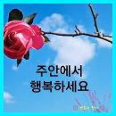 그대에게 필요한 한없는 사랑의 축복, 경험해 보실래요 이미지