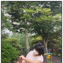 카페그리심 이미지