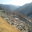 명가막국수 이미지