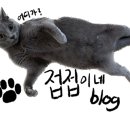 웃는얼굴아트센터수영장 이미지