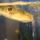 유성복집 이미지