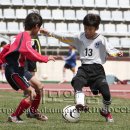 제주동초등학교 이미지