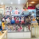 펫 파라다이스(pet paradise) 이미지