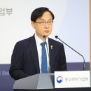 세일붐