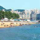 전남