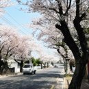 효돈동-2 이미지