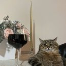 위례서일로 이미지