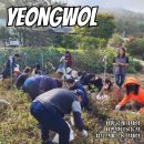 요선농장 네이버블로그