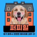 시원애견 이미지