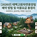 태백고원자연휴양림 | 태백고원자연휴양림 예약 방법 및 이용요금 총정리 (트리하우스, 숲속의집, 야영장 시설 안내)