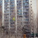 올림픽로43길 이미지