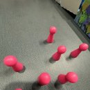 (주)강아유 이미지