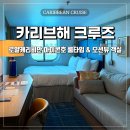 [카리브해 크루즈] 로얄캐리비안 아이콘호 룸 타입 소개 | 오션뷰 객실 후기