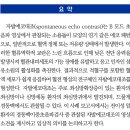 경동맥이중초음파검사에서 관찰된 자발에코대조 이미지