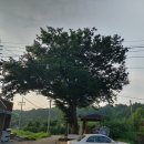 봉산동경로당 네이버블로그