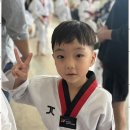 TL태권도 이미지