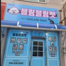 블링블링펫 이미지