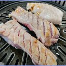 탐라우돈 이미지