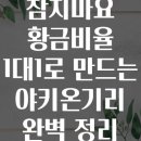 참치마요 황금비율 1대1로 만드는 야키온기리 완벽 정리