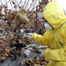 구미가축병원 이미지