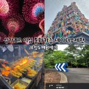 싱가포르 이심 eSIM 통화 가능 무제한 로밍도깨비 후기