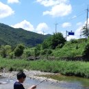 허궁다리 이미지